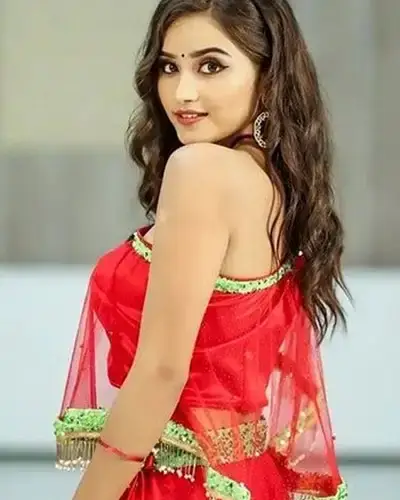 Call Girls Service Gajapati